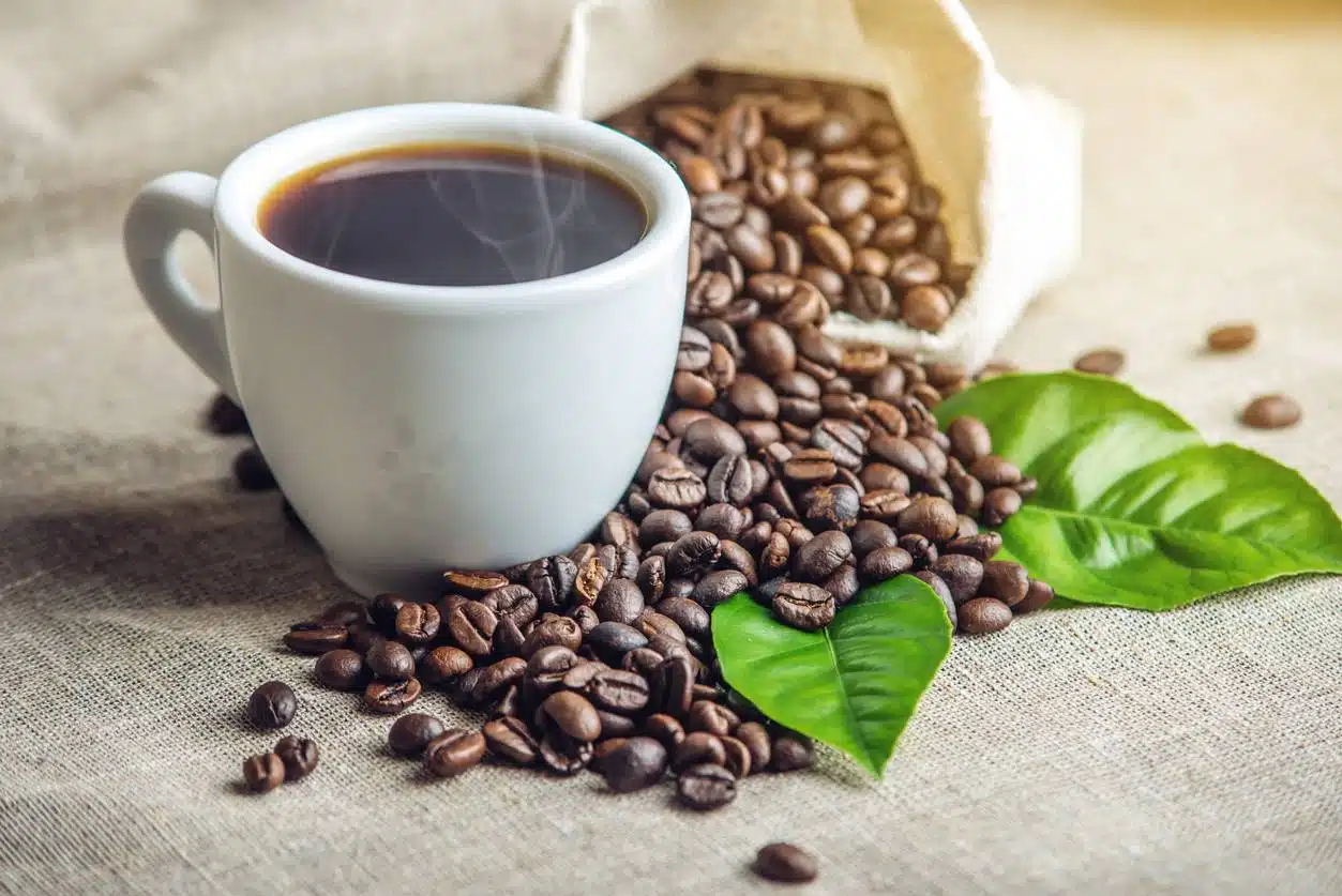 café grains capsules compatibles boisson tasse machine torréfaction gros grande quantité